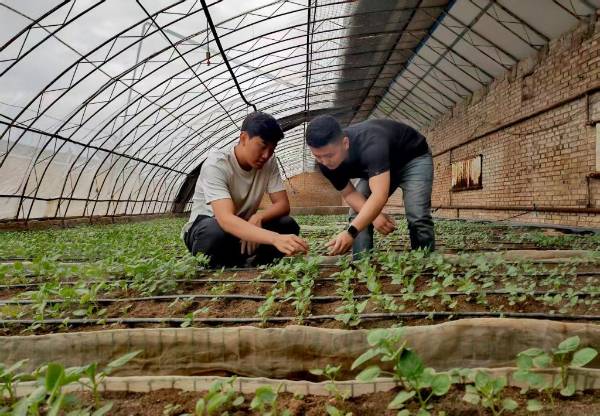 1751509169636754.jpg 24.jpg