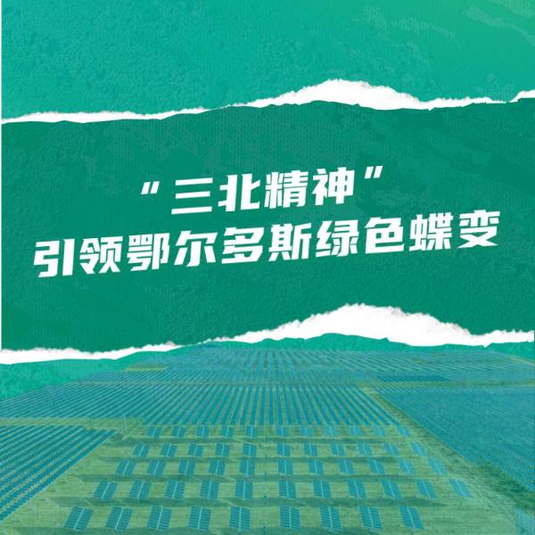 1751509297168691.jpg 25.jpg