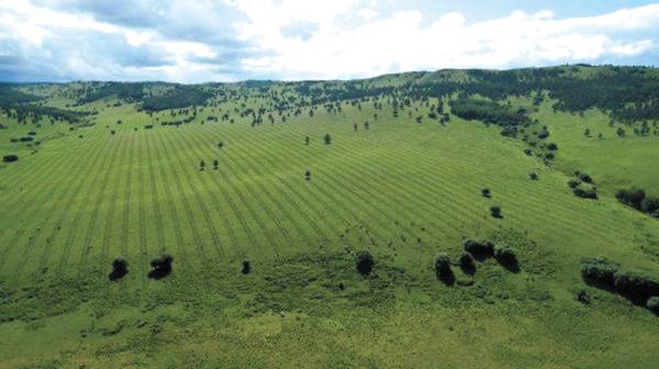 1751509408685139.jpg 27.jpg