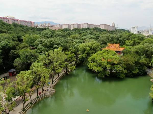 1751509604745753.jpg 1.jpg