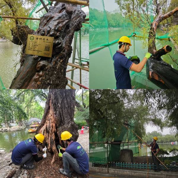 1751509611112782.jpg 2.jpg