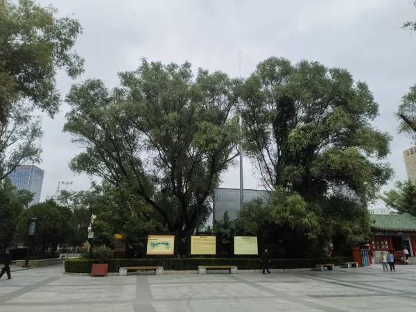 1751509619714369.jpg 3.jpg