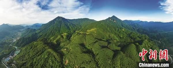 1751593996127435.jpg 1.jpg