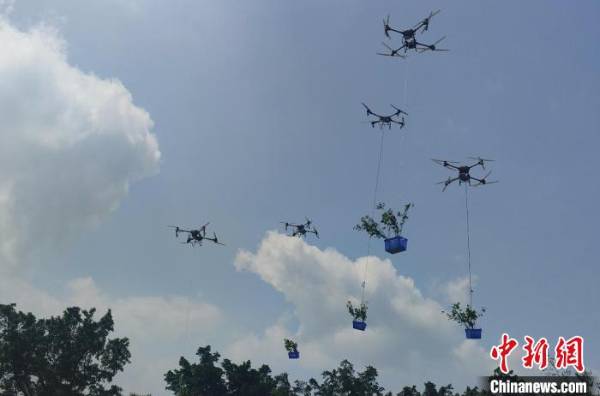 1751594008230954.jpg 3.jpg