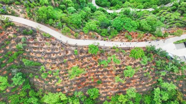 1751594149270889.jpg 4.jpg