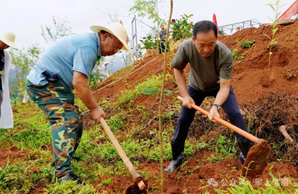 1751594364196966.jpg 5.jpg