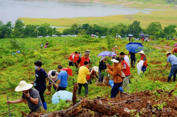 1751594370469173.jpg 6.jpg