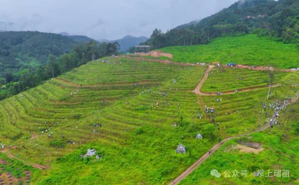 1751594379758919.jpg 7.jpg