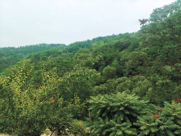 1751594530910338.jpg 8.jpg