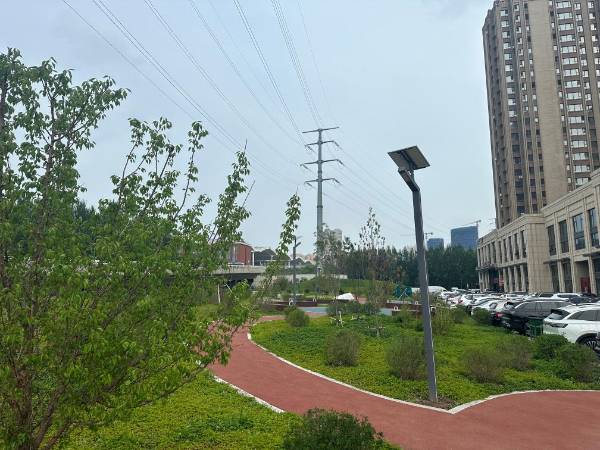 1751594868906920.jpg 10.jpg