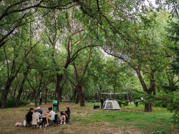 1751594874125102.jpg 11.jpg