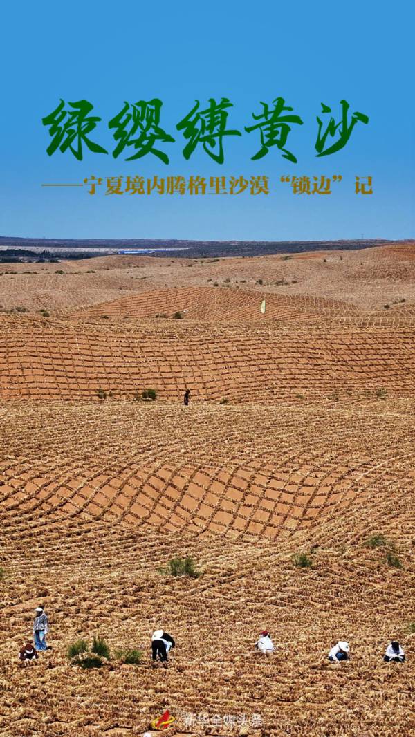 1751853745169492.jpg 1.jpg