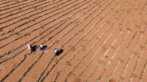 1751853839930118.jpg 2.jpg