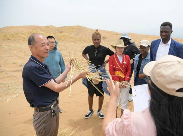 1751853889512475.jpg 6.jpg