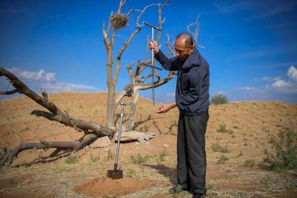 1751853902105322.jpg 7.jpg