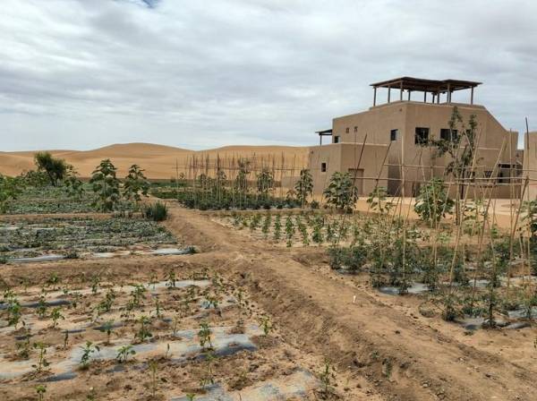 1751853928210363.jpg 9.jpg