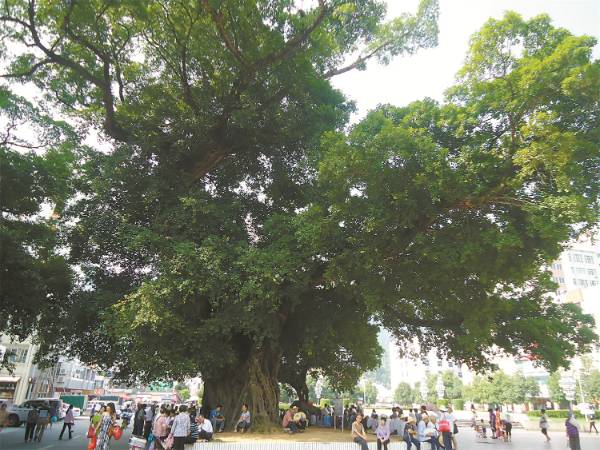 1751854293742358.jpg 11.jpg