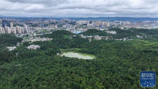 1751854458191354.jpg 12.jpg