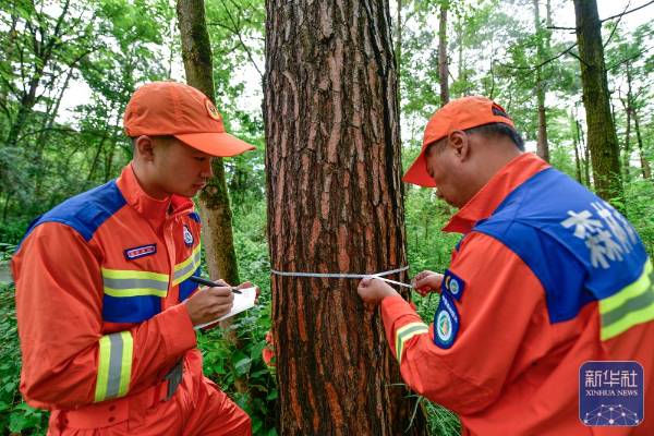 1751854493558299.jpg 14.jpg