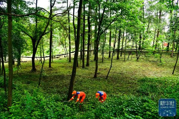 1751854500413967.jpg 15.jpg