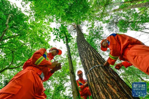 1751854507592989.jpg 16.jpg