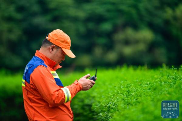 1751854519743468.jpg 18.jpg