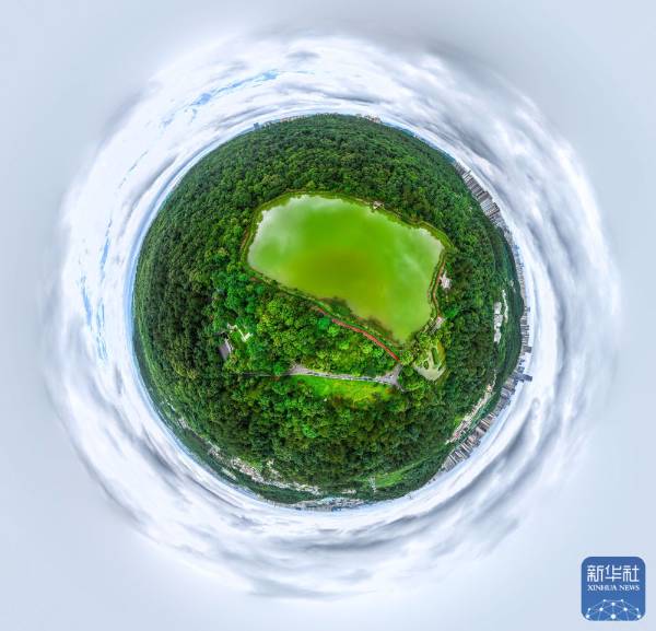 1751854526289298.jpg 19.jpg