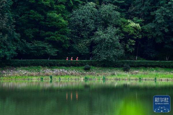 1751854538597549.jpg 20.jpg