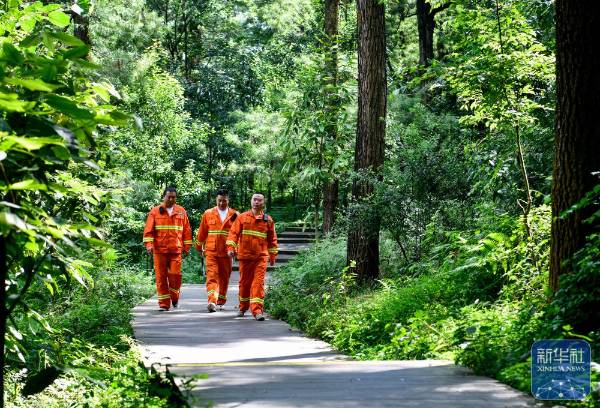 1751854545697760.jpg 21.jpg