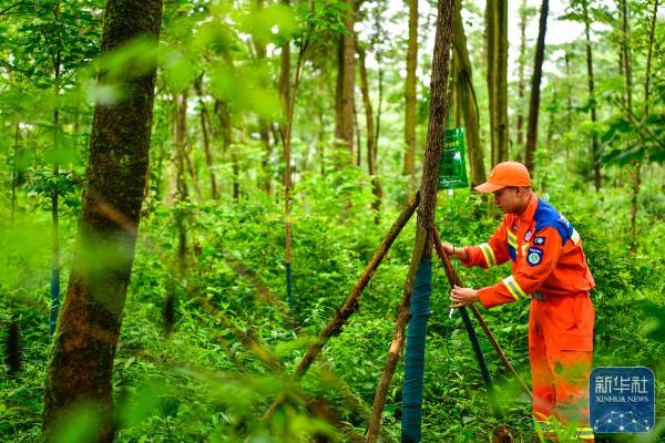 1751854575246285.jpg 22.jpg