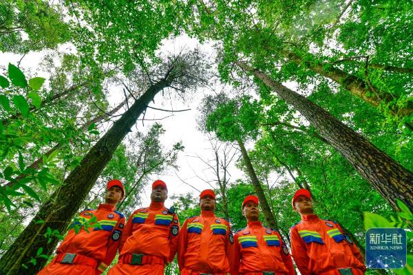 1751854591792547.jpg 24.jpg