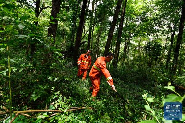 1751854598659735.jpg 25.jpg