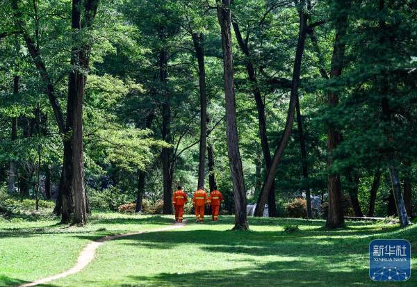 1751854605552677.jpg 26.jpg