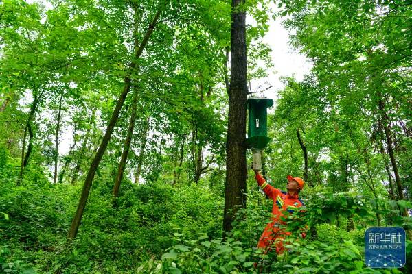 1751854612608059.jpg 27.jpg