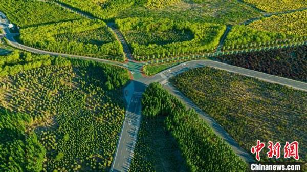 1751854762611170.jpg 35.jpg