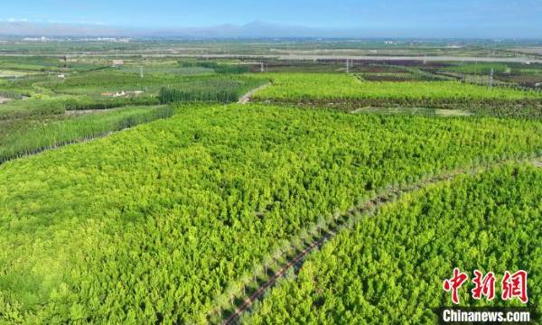 1751854772150428.jpg 36.jpg