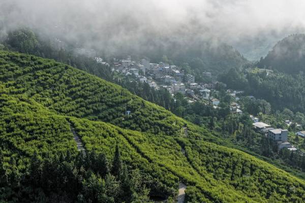 1751854955998627.jpg 29.jpg