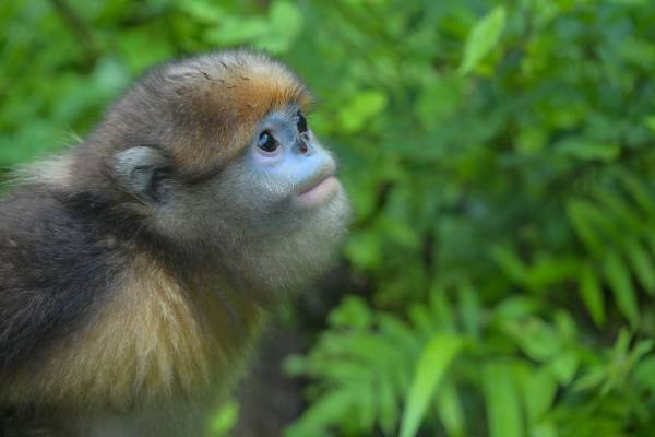 1751855029249333.jpg 33.jpg