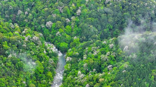 1751855038250371.jpg 34.jpg