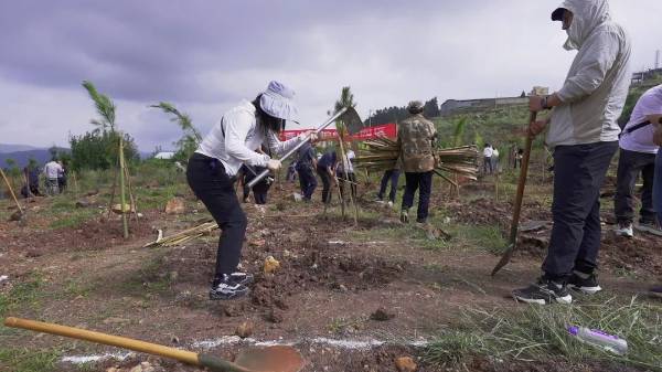 1752024408138104.jpg 3.jpg