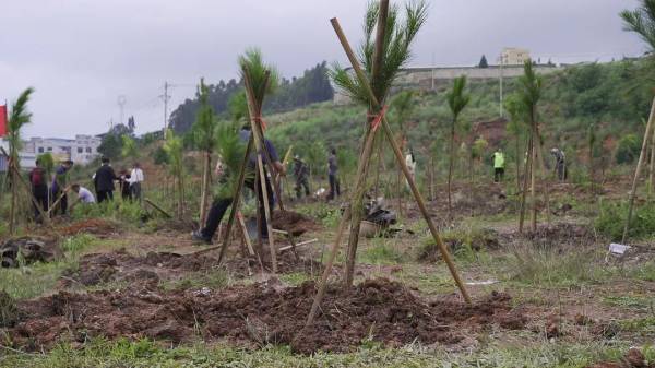 1752024414246897.jpg 4.jpg