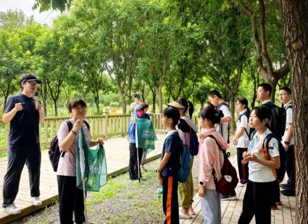 1752024665410210.jpg 1.jpg