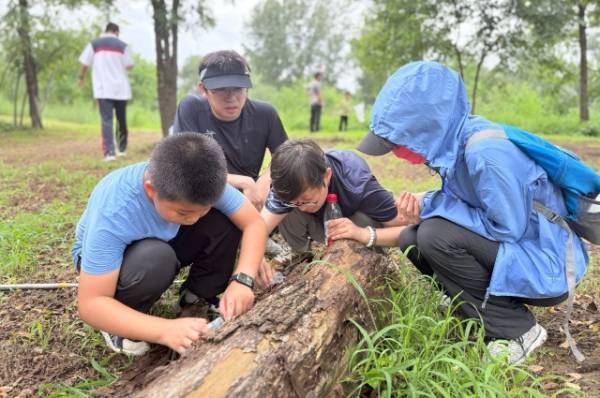 1752024727234145.jpg 6.jpg