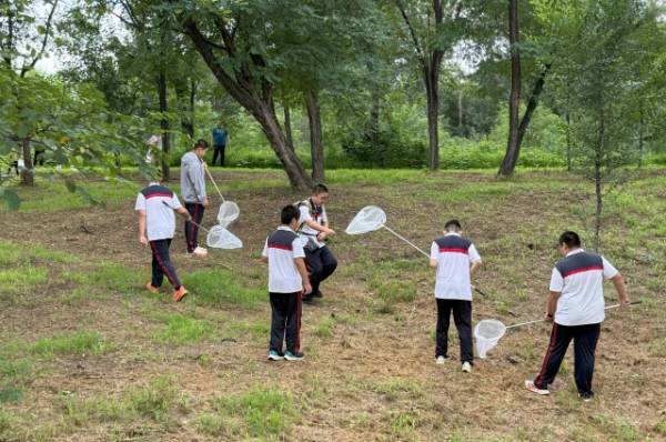 1752024736785134.jpg 8.jpg