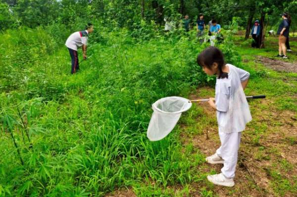 1752024740872521.jpg 9.jpg