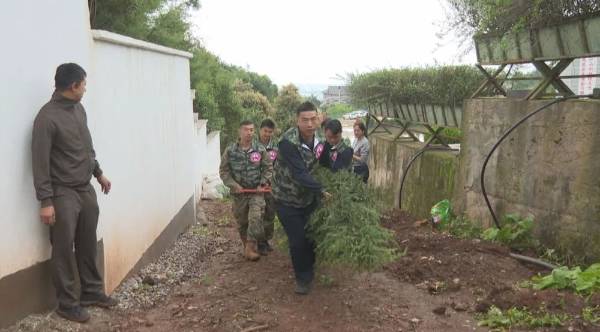 1752024993283833.jpg 2.jpg