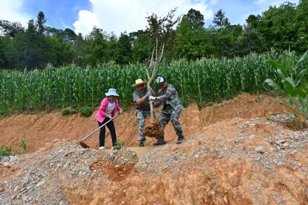 1752025114422614.jpg 5.jpg