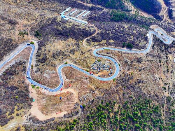 1752198774319339.png 1.png