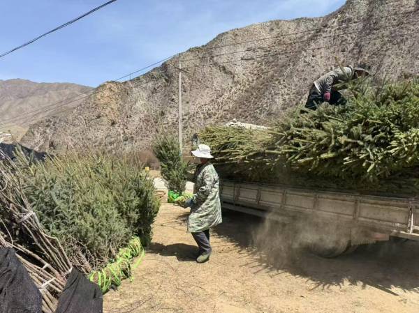 1752198798715036.png 4.png