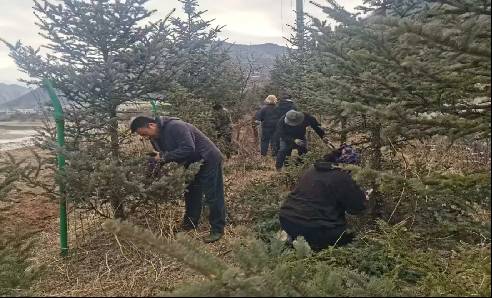 1752198812308929.png 1752198812308929.png